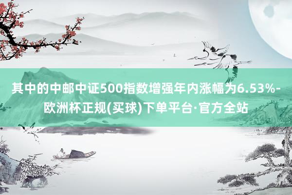 其中的中邮中证500指数增强年内涨幅为6.53%-欧洲杯正规(买球)下单平台·官方全站