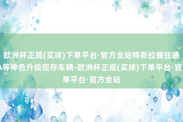 欧洲杯正规(买球)下单平台·官方全站特斯拉握住通过OTA等神色升级现存车辆-欧洲杯正规(买球)下单平台·官方全站