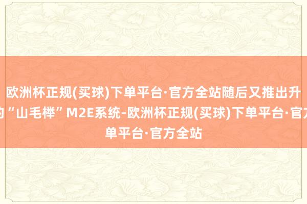 欧洲杯正规(买球)下单平台·官方全站随后又推出升级版的“山毛榉”M2E系统-欧洲杯正规(买球)下单平台·官方全站