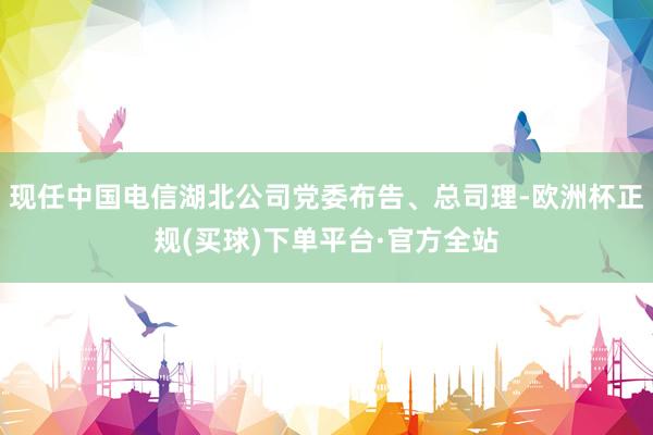 现任中国电信湖北公司党委布告、总司理-欧洲杯正规(买球)下单平台·官方全站