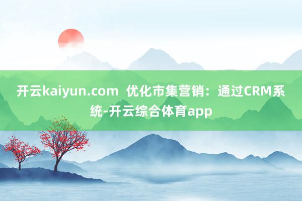 开云kaiyun.com  优化市集营销：通过CRM系统-开云综合体育app