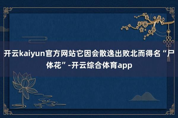 开云kaiyun官方网站它因会散逸出败北而得名“尸体花”-开云综合体育app