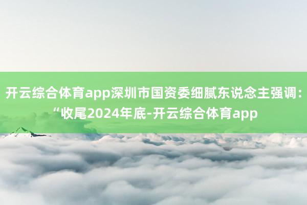 开云综合体育app深圳市国资委细腻东说念主强调：“收尾2024年底-开云综合体育app